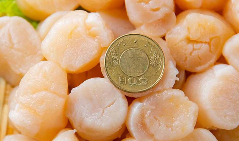 生食級干貝尺寸