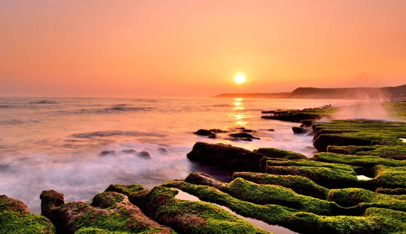 台灣 海邊 獨處