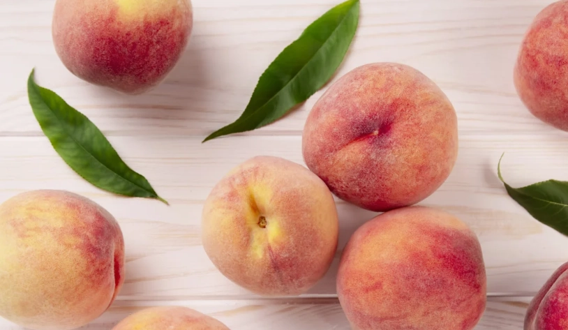 狗狗 吃 水蜜桃