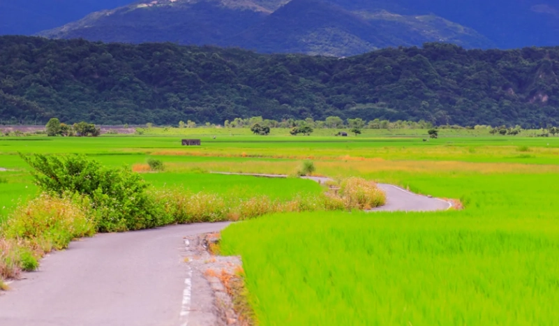 花東旅遊攻略 花東旅遊攻略
