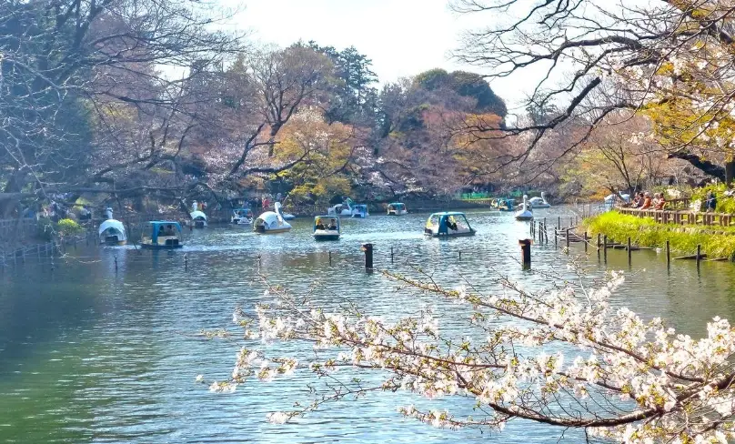 東京自由行攻略 東京自由行攻略