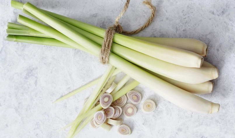 香茅茶功效 香茅茶功效