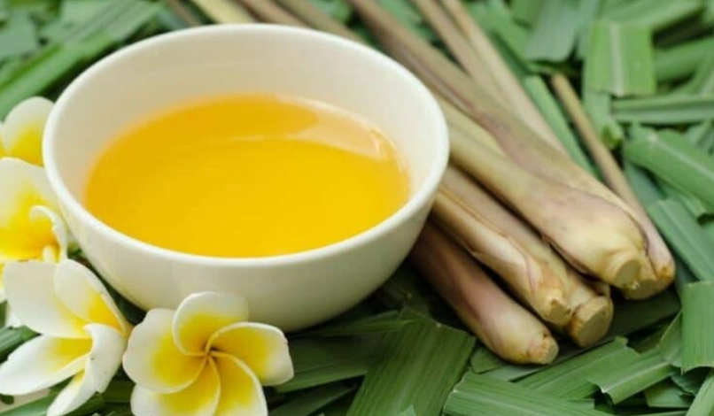 香茅精油使用禁忌