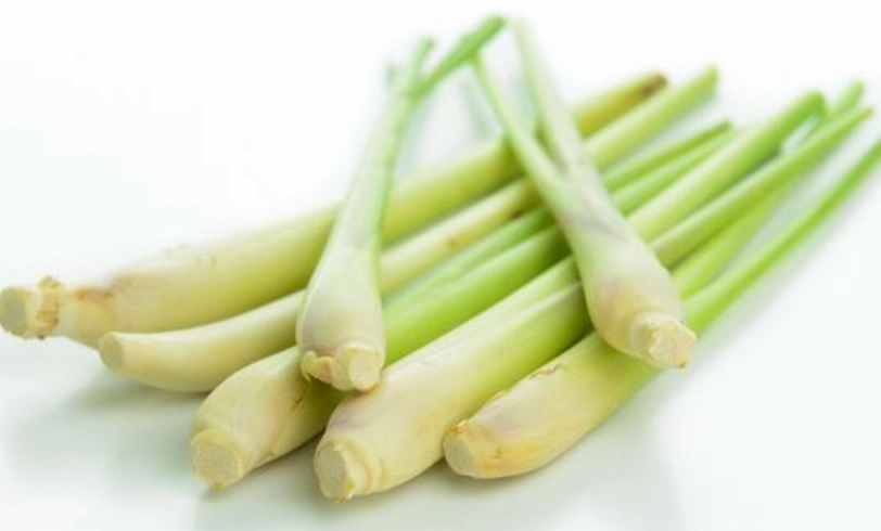 香茅精油使用禁忌