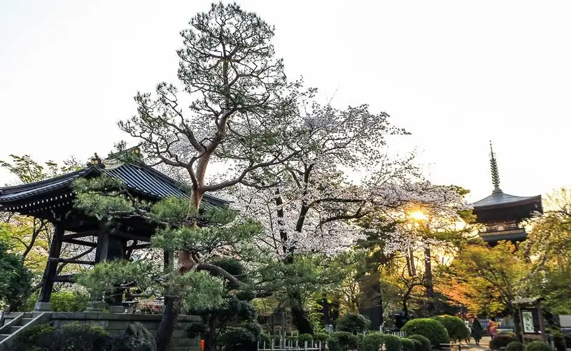 東京深度旅遊 東京深度旅遊