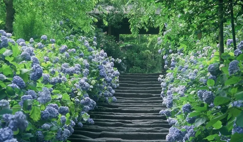 鎌倉一日遊行程