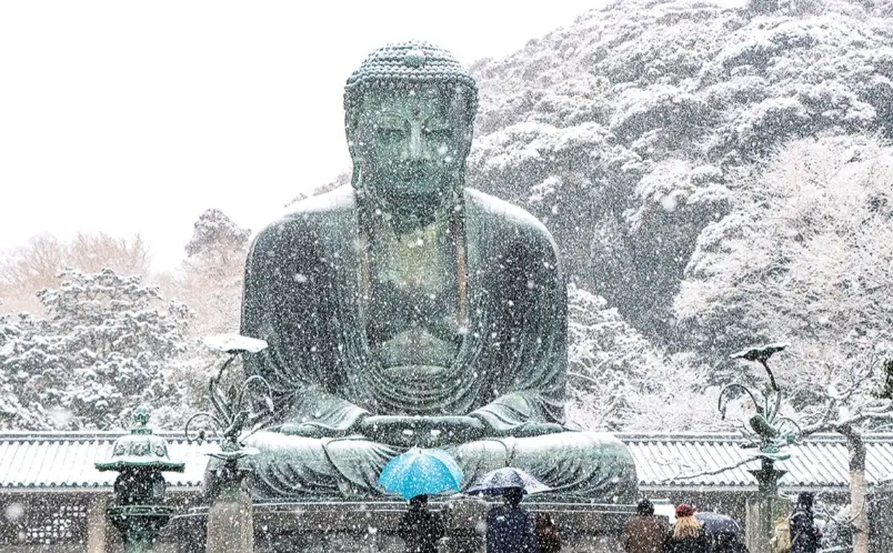 鎌倉冬天旅遊全攻略：景點、美食、交通與避開人潮的私房路線