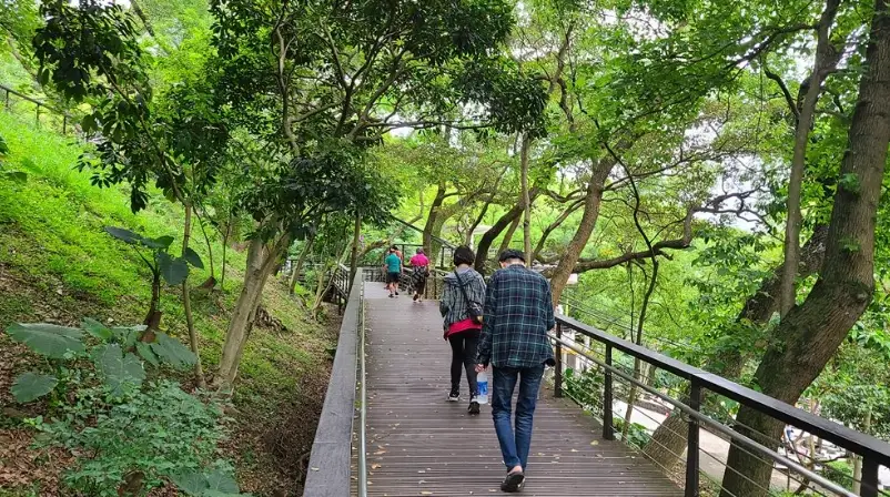 適合老人的步道