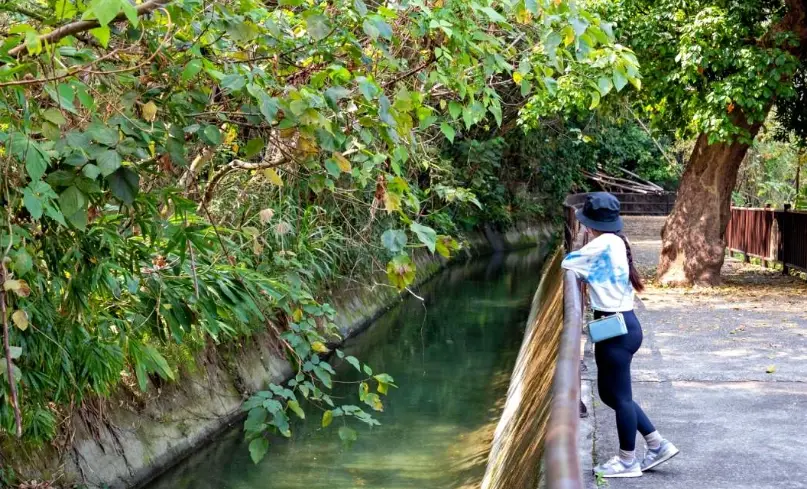 台中私房景點評分最高