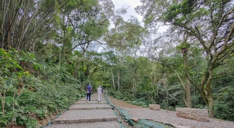 桃園親山步道