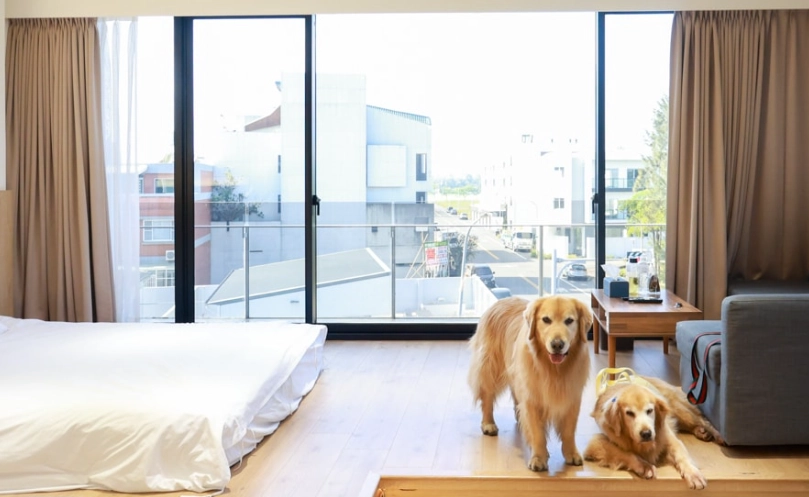 寵物友善飯店 寵物友善飯店