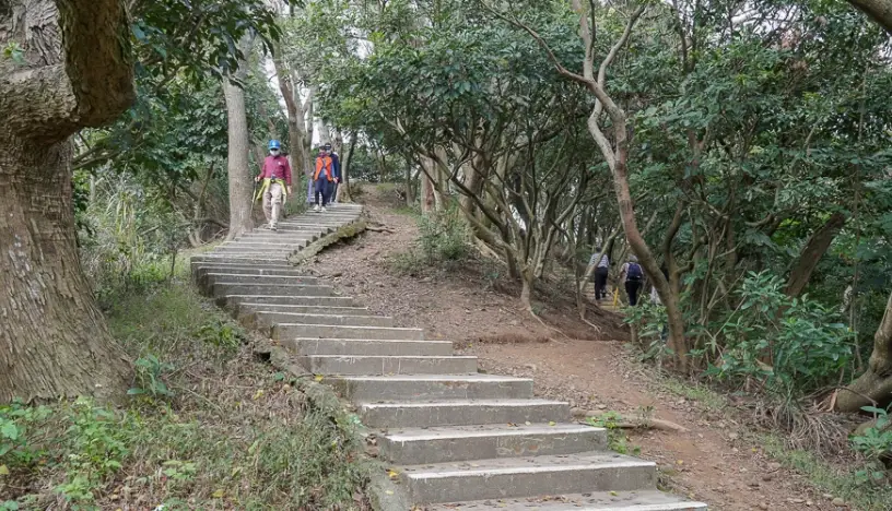 桃園步道推薦
