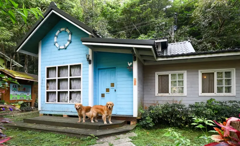 苗栗寵物友善景點全攻略：帶毛孩跑跳山林牧場與特色庭園