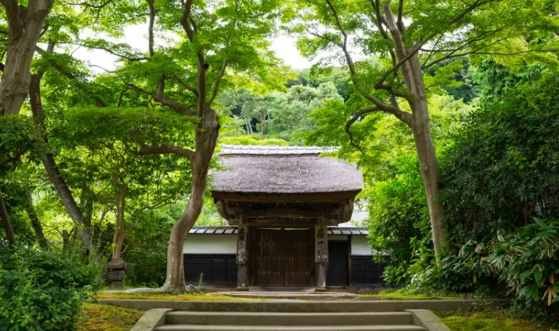 鎌倉一日遊行程