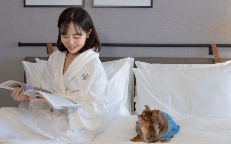寵物友善飯店 寵物友善飯店