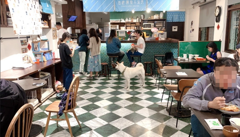 帶狗餐廳 北台灣
