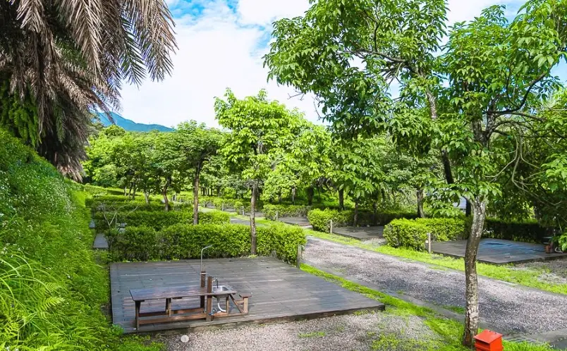 金山皇后鎮森林 金山皇后鎮森林