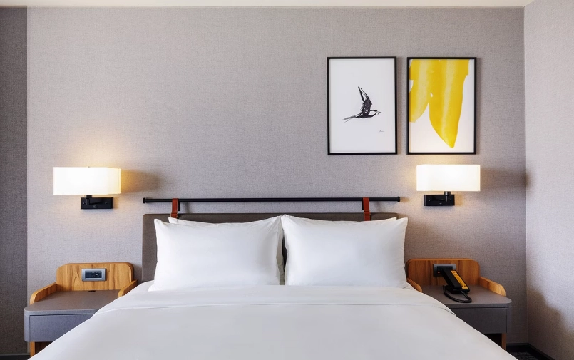 帶狗住宿台北 帶狗住宿台北