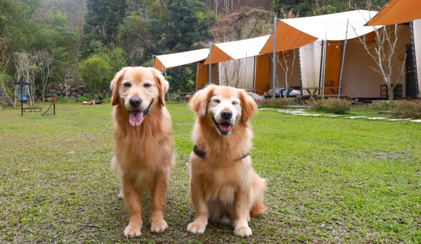 寵物友善景點 台北
