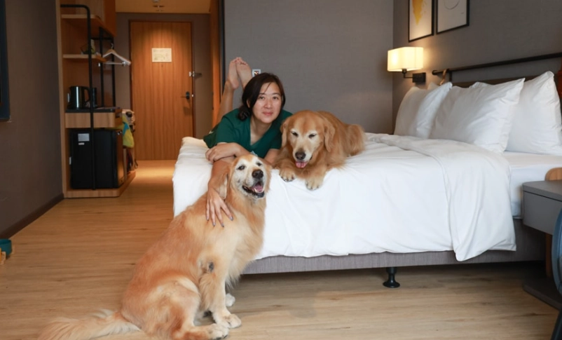 阿里山寵物旅遊