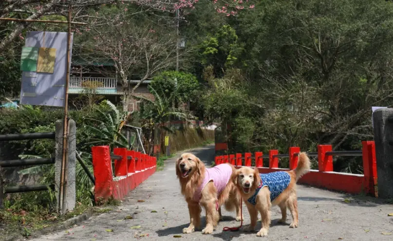 台北寵物友善步道