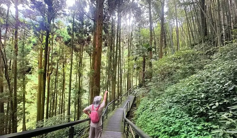 阿里山寵物旅遊