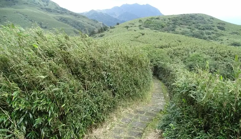陽明山一日遊步道
