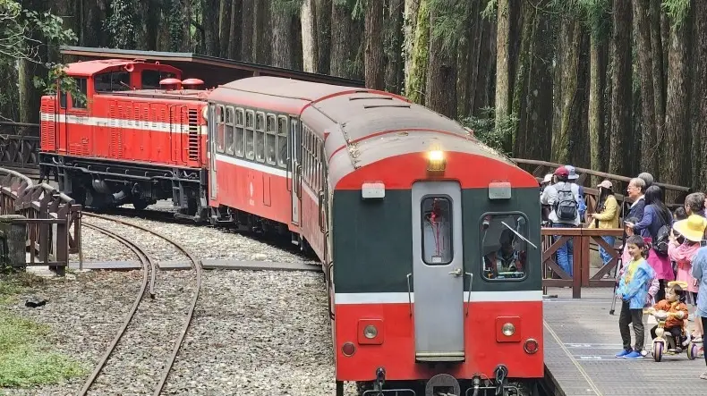 阿里山寵物友善 阿里山寵物友善