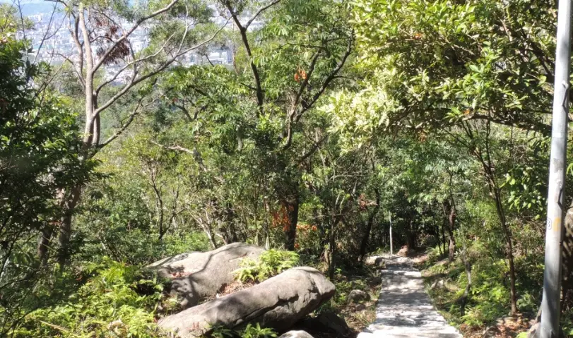 台北寵物友善步道
