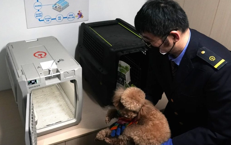 高鐵帶寵物