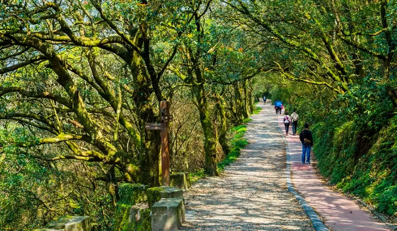陽明山步道難度