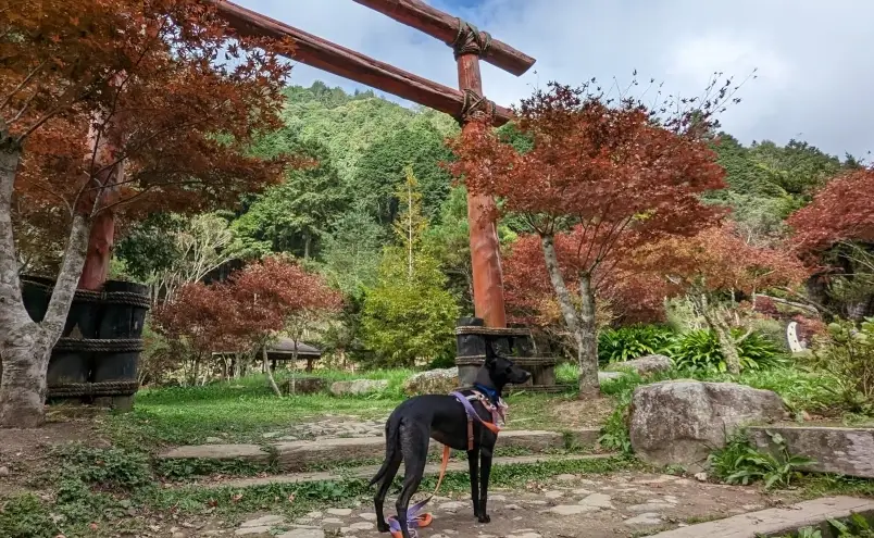 寵物友善景點中部