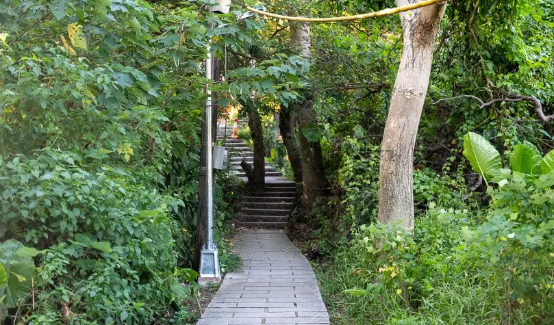 台北寵物友善步道