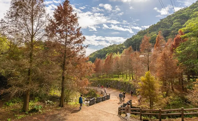 陽明山一日遊步道