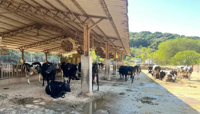 彰化一日遊景點