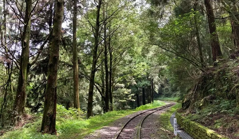 一葉蘭保護區入園申請