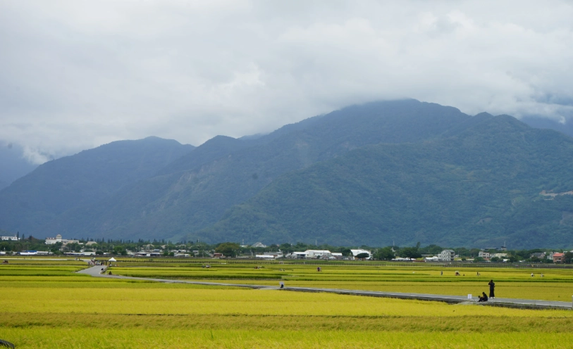 高雄屏東自由行 高雄屏東自由行