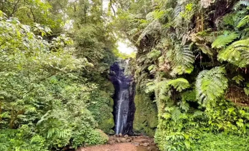 泰安瀑布交通 泰安瀑布交通