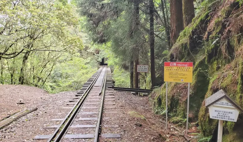 一葉蘭保護區入園申請 一葉蘭保護區入園申請