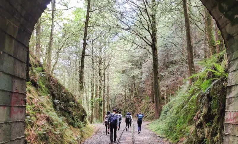 阿里山眠月線申請 阿里山眠月線申請