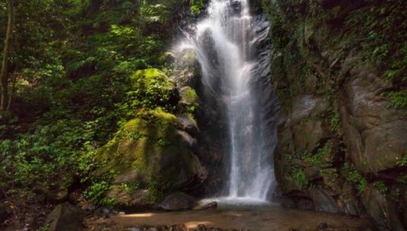 泰安瀑布一日遊 泰安瀑布一日遊