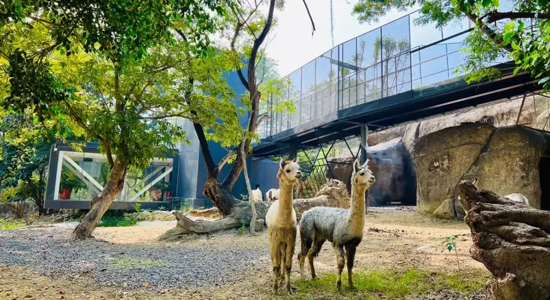 高雄親子一日遊