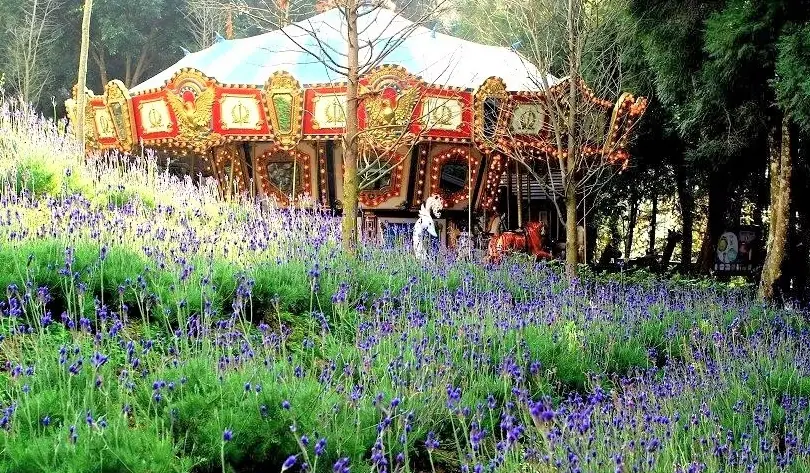 台中自駕遊 台中自駕遊