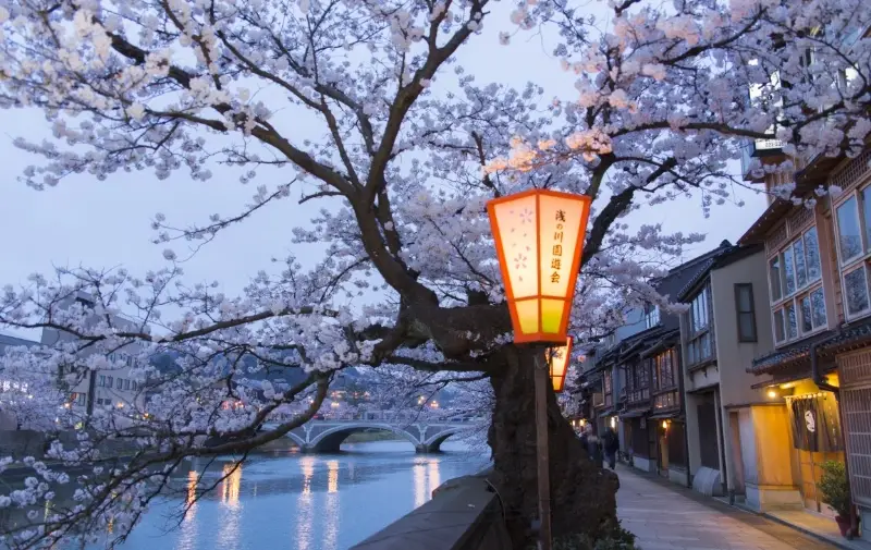 金澤親子景點全攻略：帶孩子玩轉日本北陸的必去清單