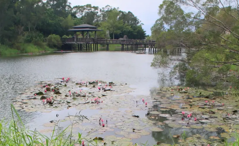 自然景觀 自然景觀