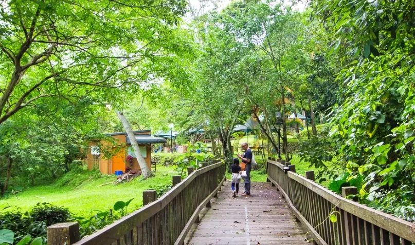 大坑步道親子 大坑步道親子