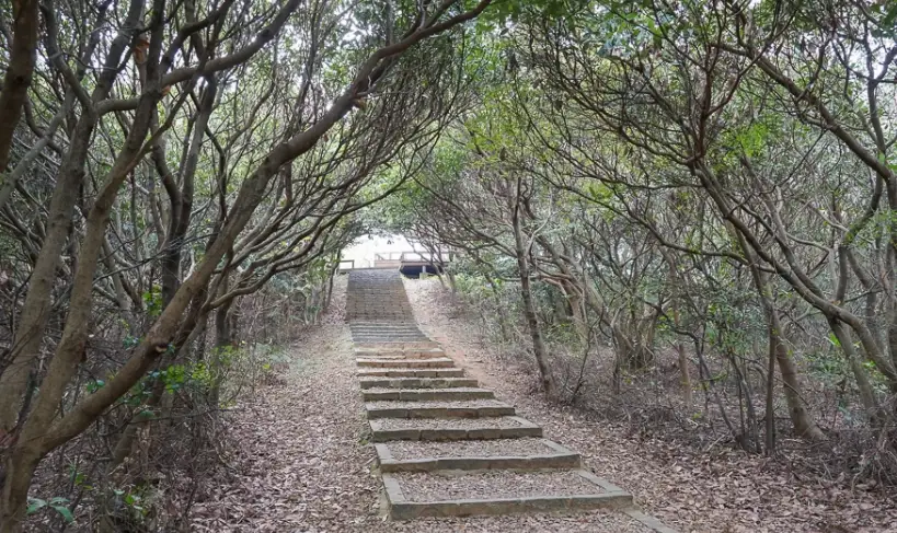 桃園親子步道 桃園親子步道