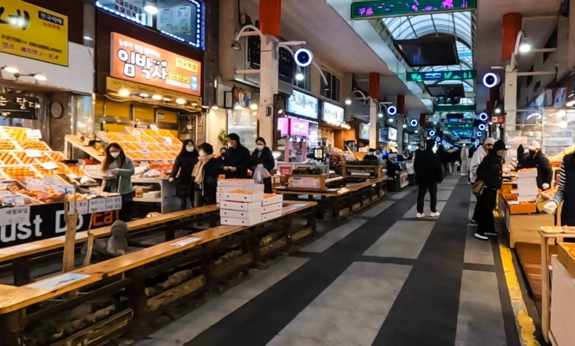 濟州島淡季 濟州島淡季