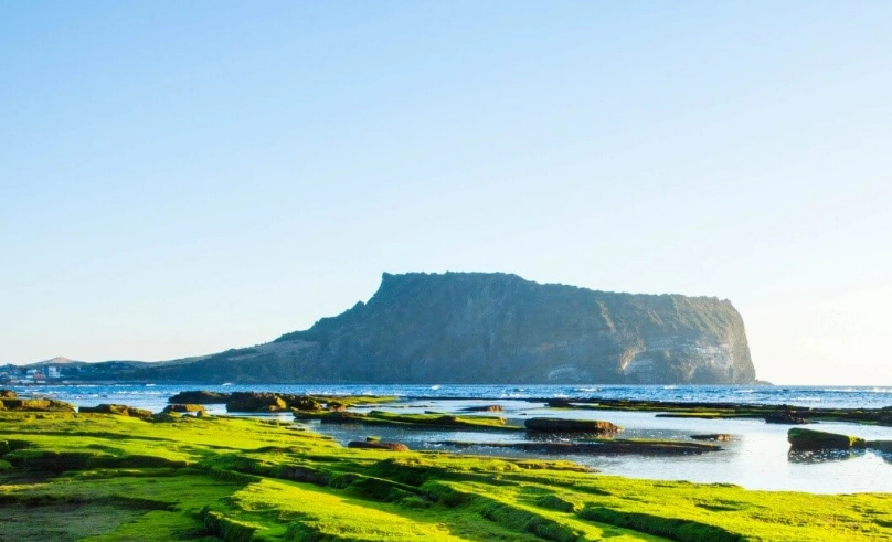 濟州島冬天旅遊 濟州島冬天旅遊