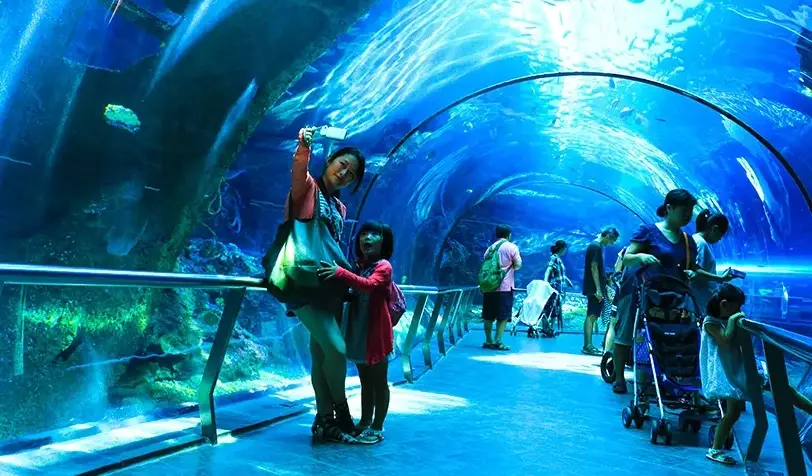 高雄墾丁親子行程 高雄墾丁親子行程